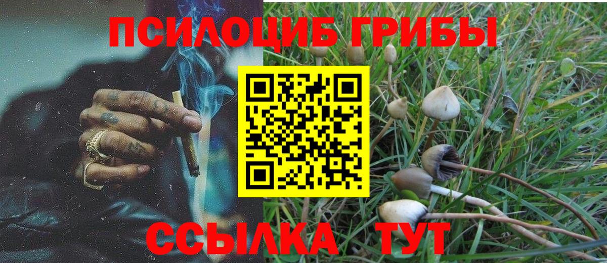Галлюциногенные грибы Magic Shrooms Комсомольск-на-Амуре